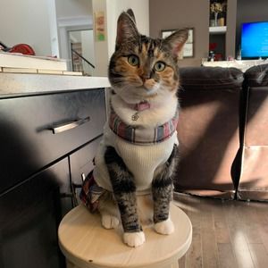 Meet your Posher, Candace